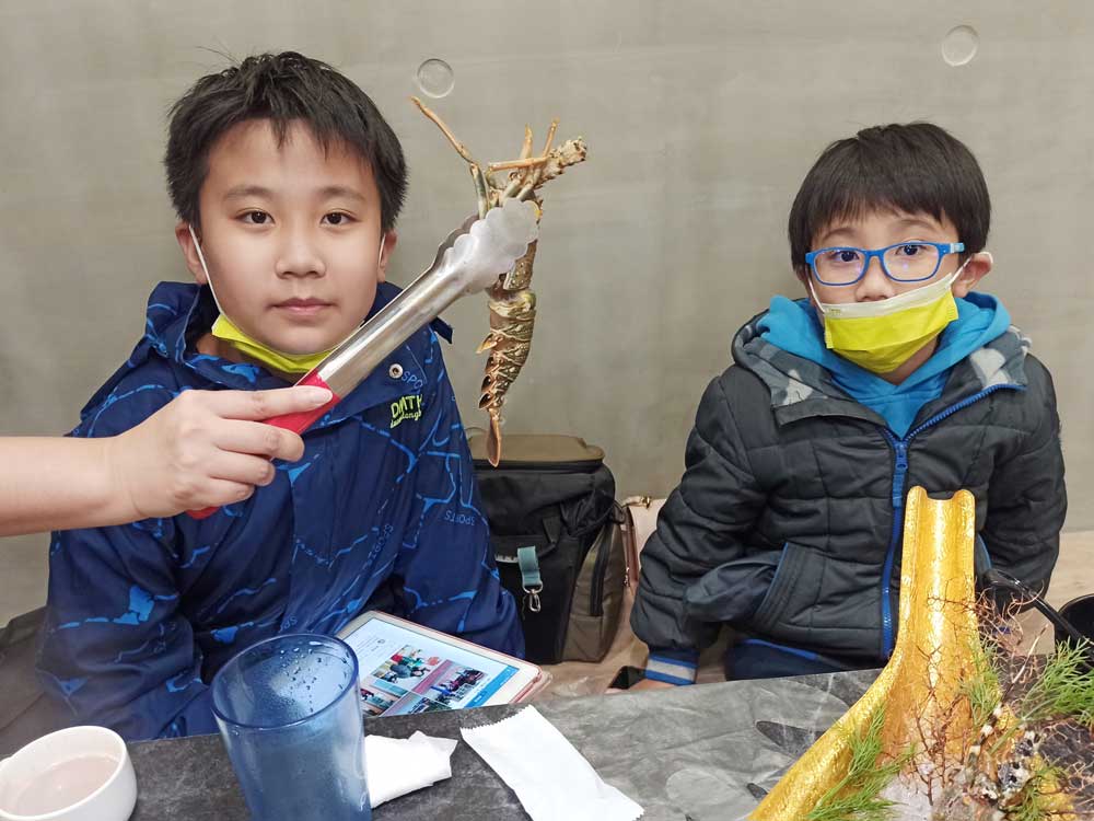 蘆竹南崁美食推薦｜饌澤原超市火鍋-6星級貼心服務的中正路吃到飽火鍋店｜推薦專家帥氣兄弟81
青龍蝦：龍蝦常見的有青龍蝦與紅龍蝦，饌澤原火鍋青龍蝦的肉質細嫩、味道鮮美，與紅龍蝦相比主要是體型小了一點，但甜美味道不輸紅龍蝦